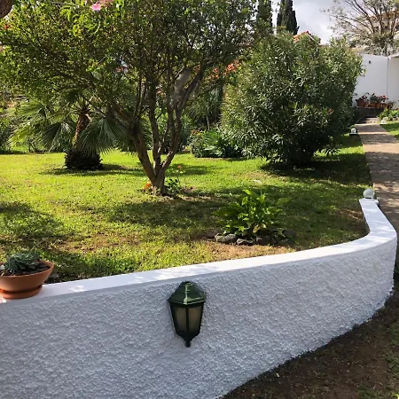 Casa Palmeira - Mit Meerblick Hébergement de vacances *