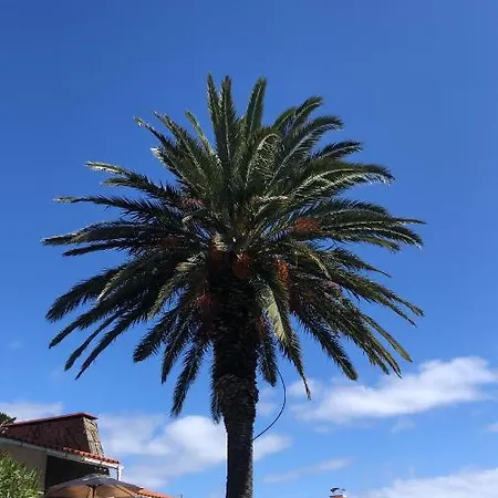 Feriehus Casa Palmeira - Mit Meerblick