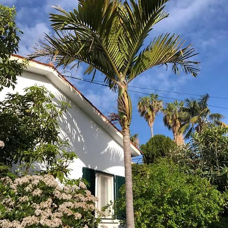 Feriehus Casa Palmeira - Mit Meerblick *