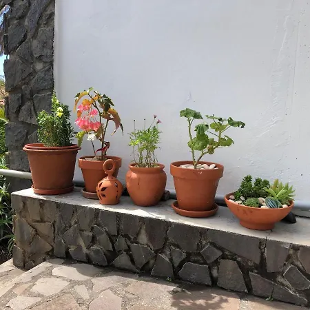 Casa Palmeira - Mit Meerblick Feriehus Caniço