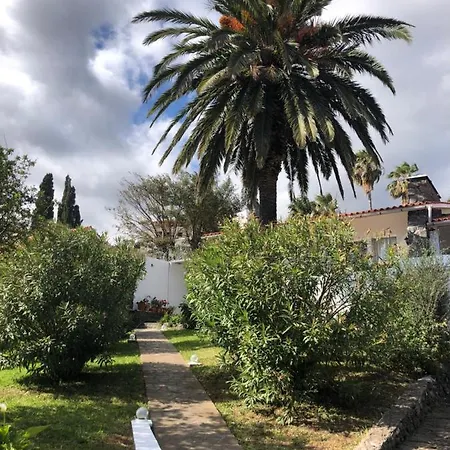 Feriehus Casa Palmeira - Mit Meerblick *